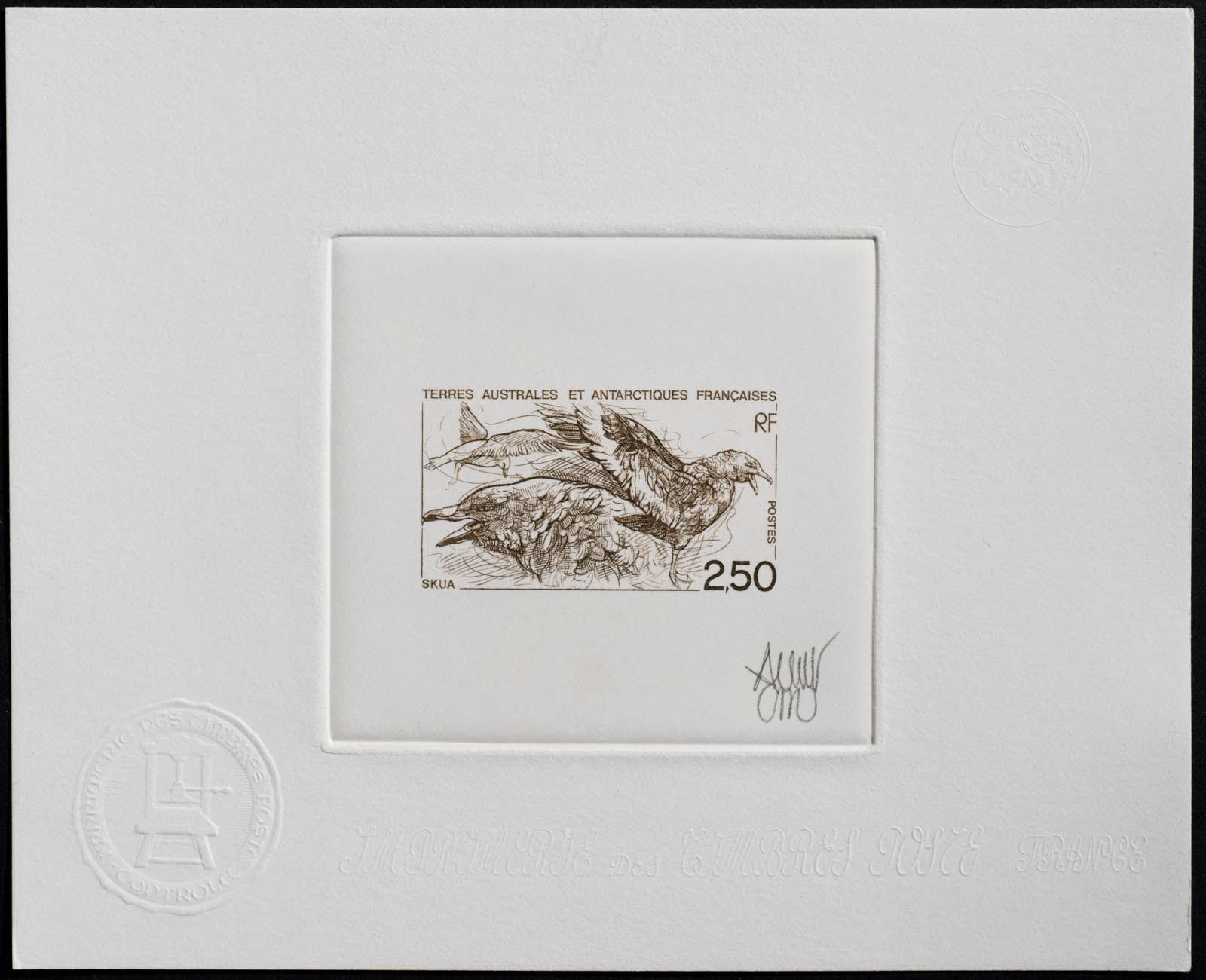 French Antarctic Skua Stamp Artist's Proof