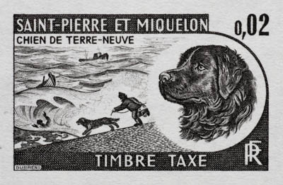 St. Pierre Newfoundland dog trial color proof stamp